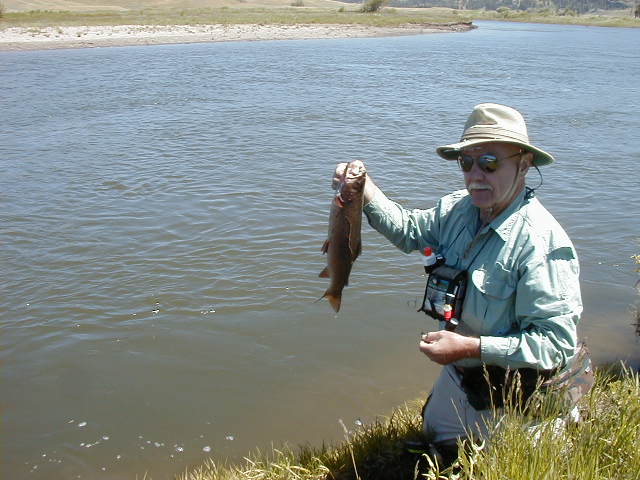 Cutthroat Country